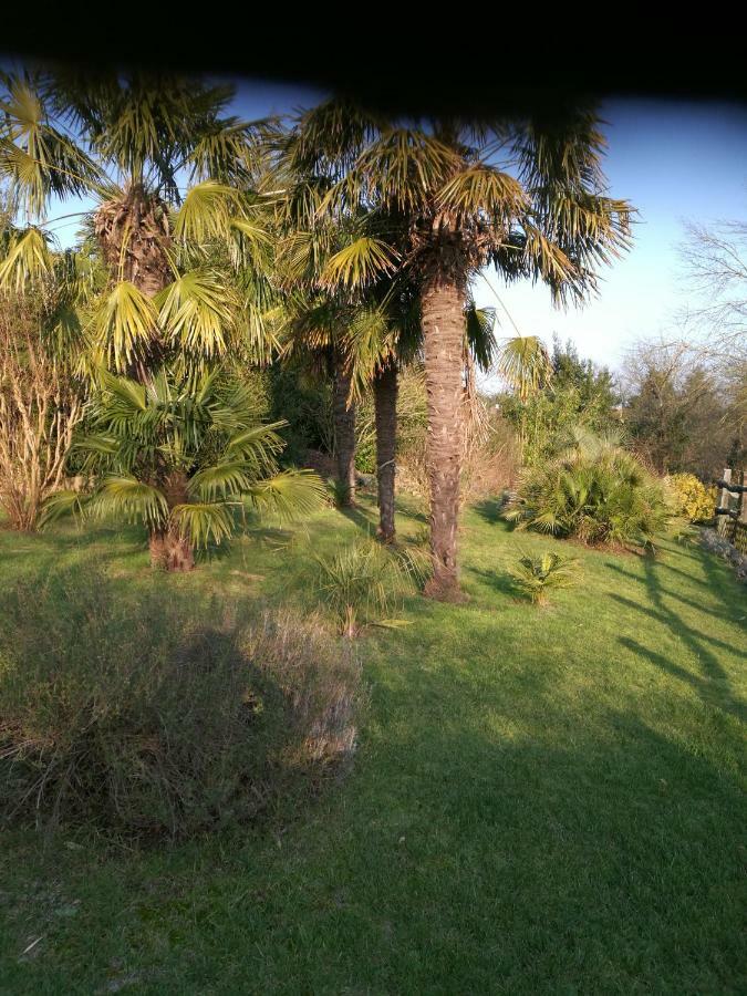 Le Coing Villa La Guiltiere Kültér fotó